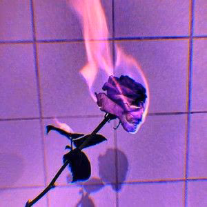 b697319682f61347c0266ff0a0deb404.jpg