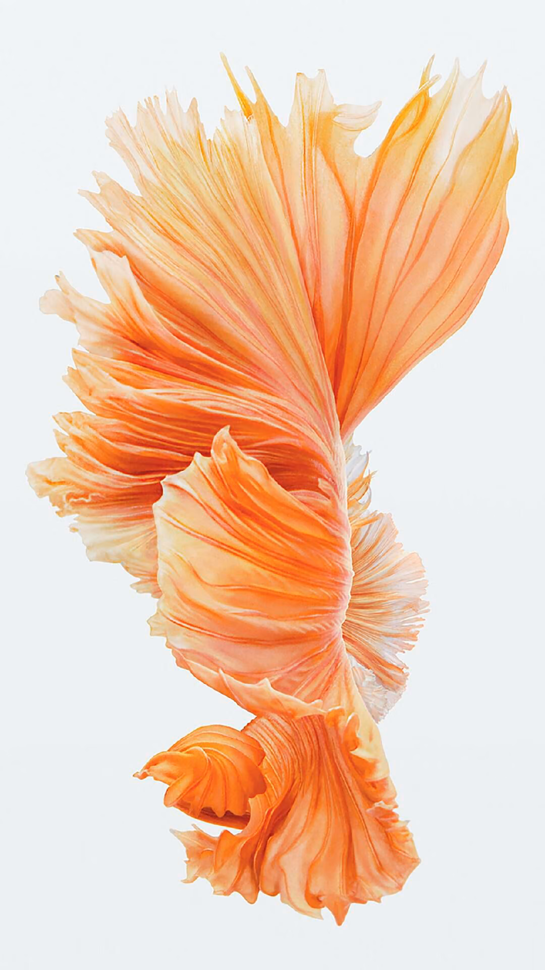 b6979a72260650351e8781f857aebbbf.jpg