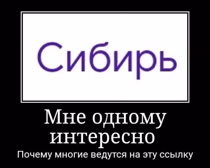 b6a6e0c6d1064ccb98db2d51169882a0.jpg