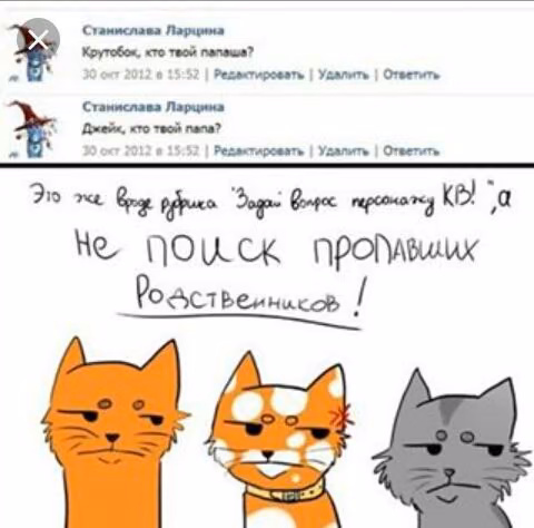 b6a6e49d7fccbf7d9472bb3c947269dd.avif