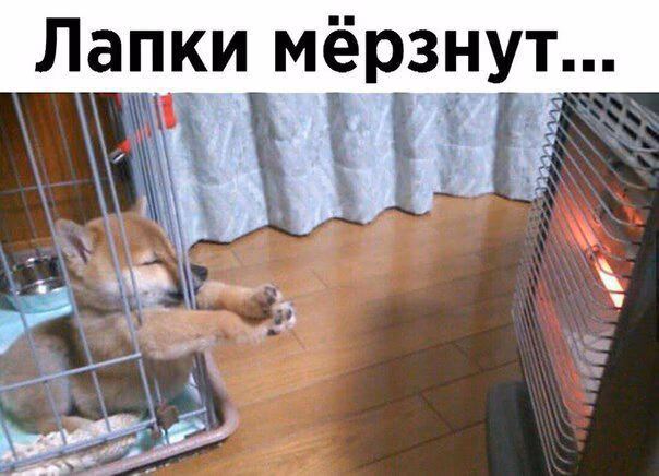 b6a88404a32426ffc7975c743c850525.jpg