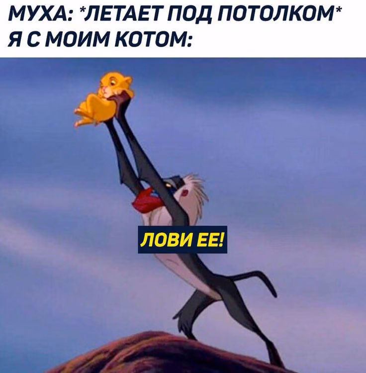 b6aa588c3c1a7011ae551b8a949f36e7.jpg