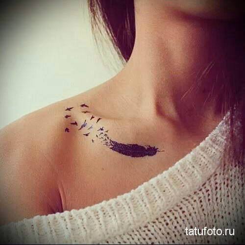 b6cb1b8b42337095a900dfe0eda2a14e.avif