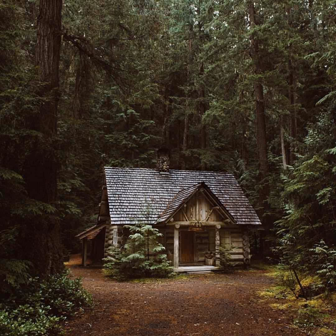 b70f090f5ecf51d90ca7bb01863668a5.avif