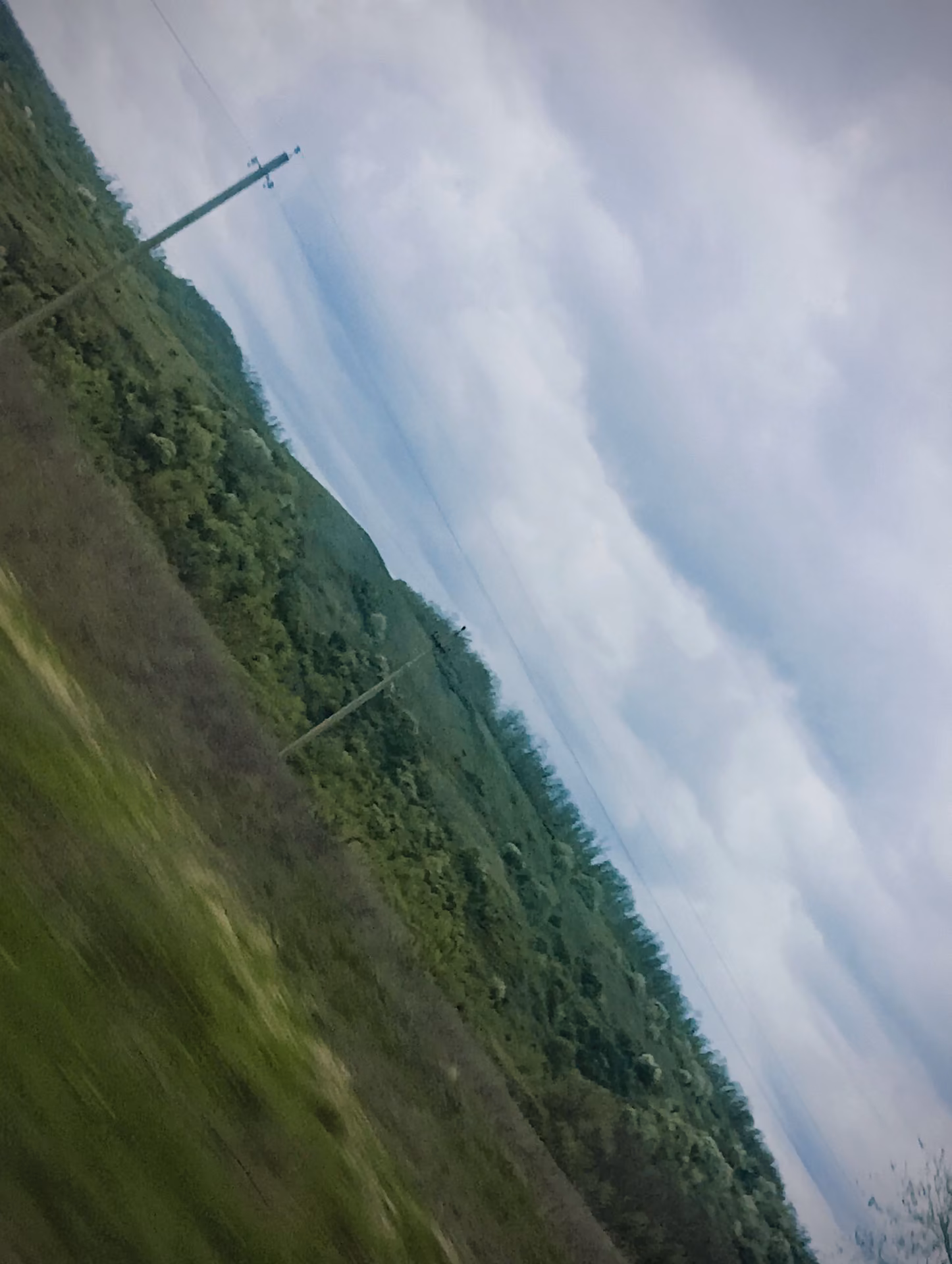 b71b4bdcd66c8755354091a14a8c32d2.jpg