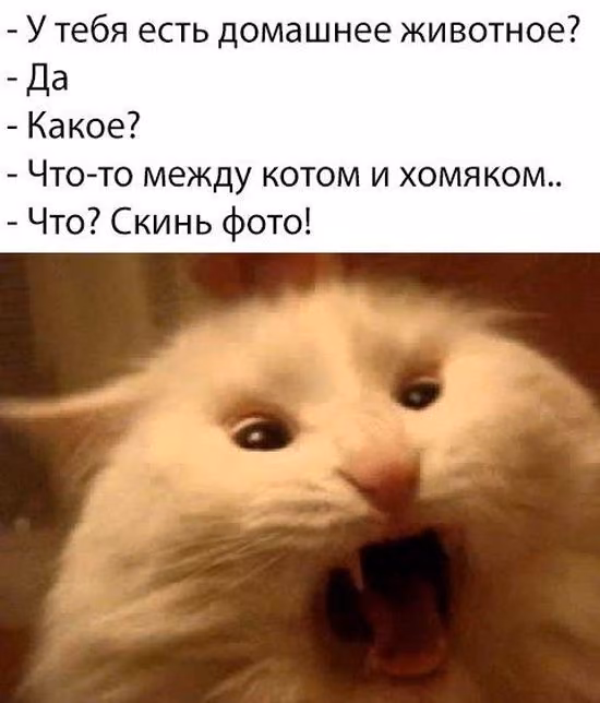 b7501aa2b1974409b501499c1cc39239.jpg