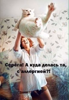b75c1be4a27ac65d31fb685dddcb26b1.avif