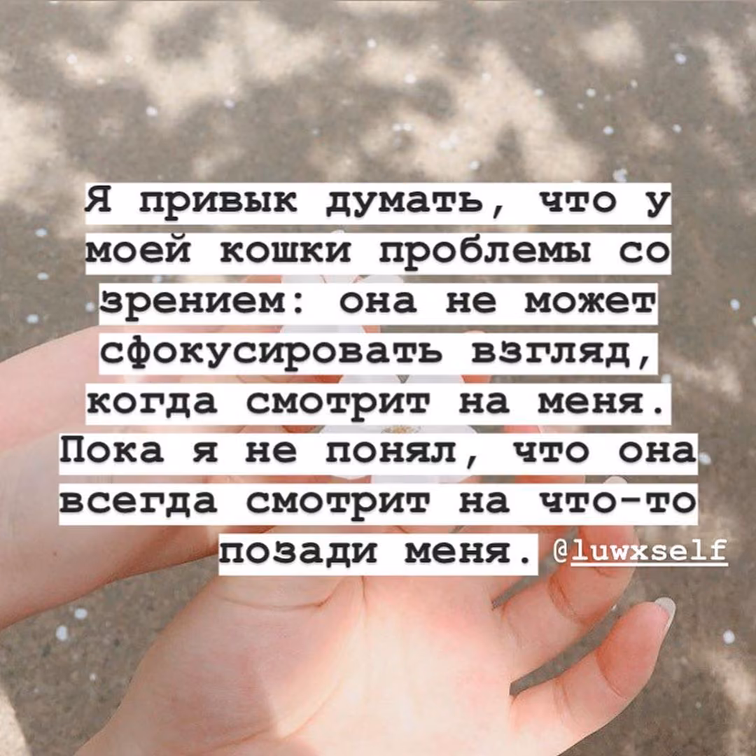 b77a0802f0a4dcd1a85579975674c37b.jpg