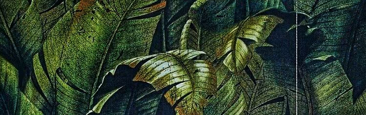 b77b9f6165a2080c93031e4ebeb2b5fe.jpg