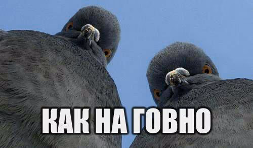 b78ee898eda79c0db645a4aeb6104895.jpg