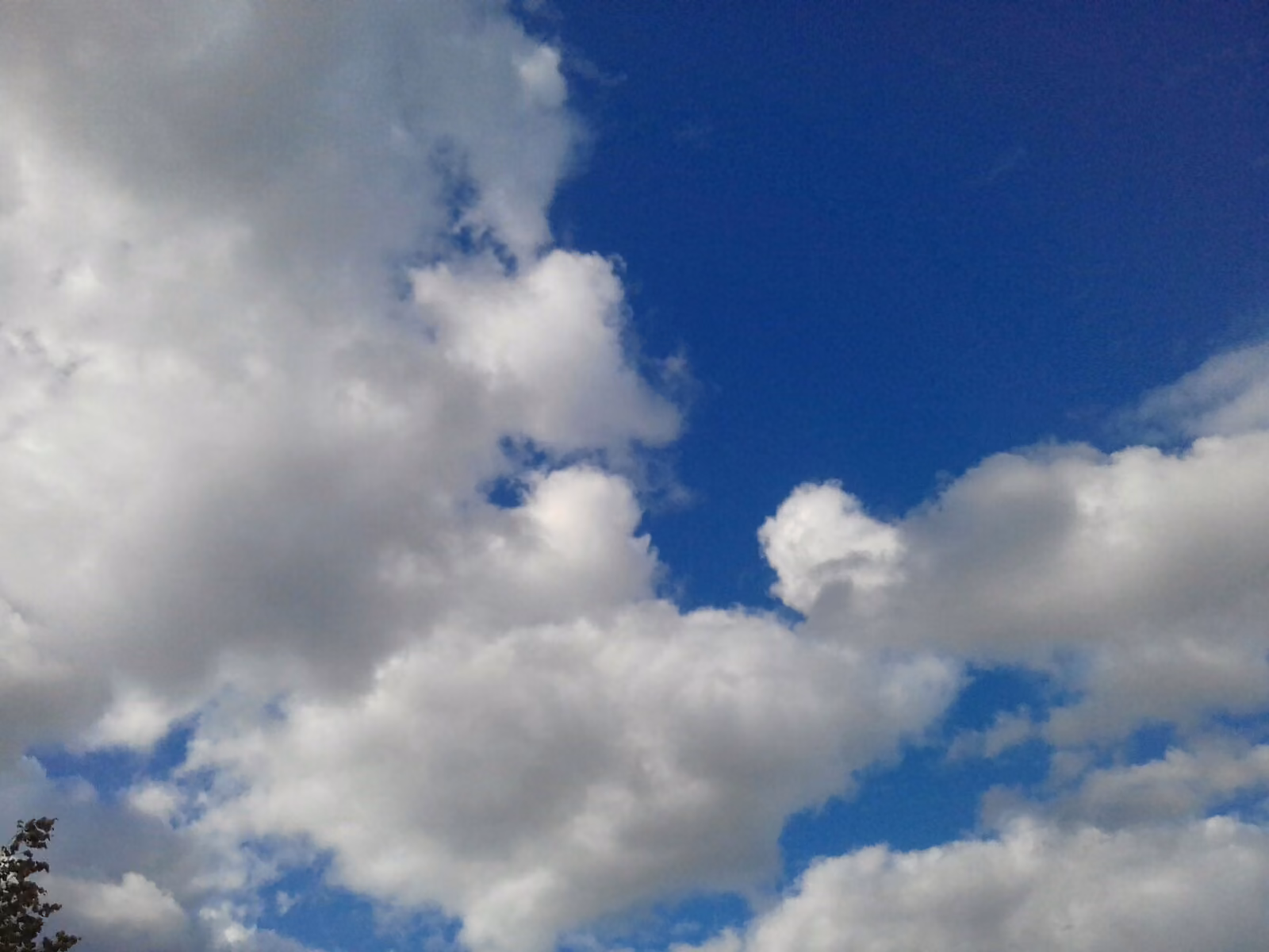 b7bda81ec679af33b80afa96223b377c.jpg