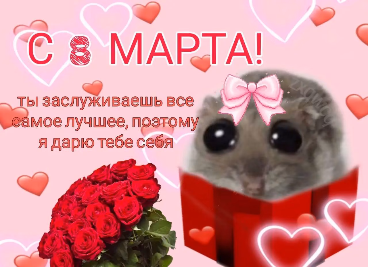 b7ca1c2b3f12ab5bed34e7f4c7ac7556.avif