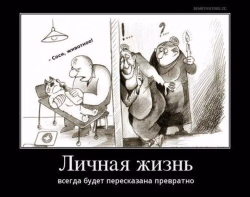 b7ddaed62d3f8869680c8a1b9b2c576a.avif