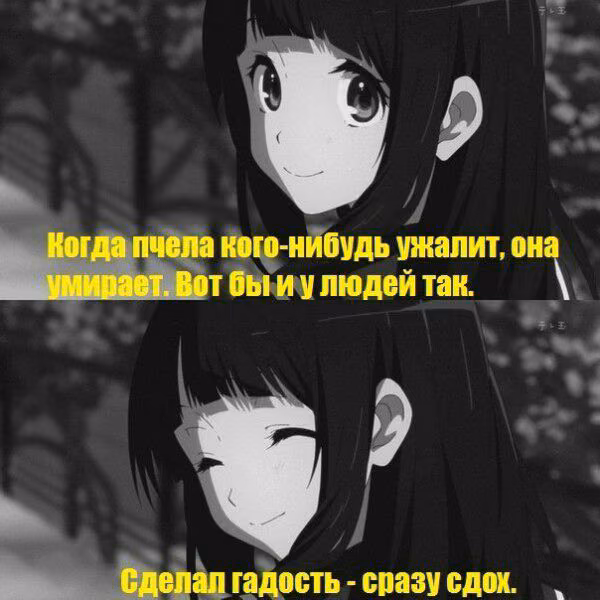 b7ee50fa43e5e2312e69a59fb5ecb8c2.jpg
