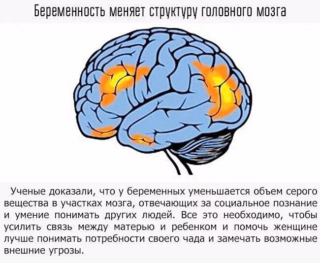 b7fd6bfe586646289efebb9fb8ee5b2a.jpg