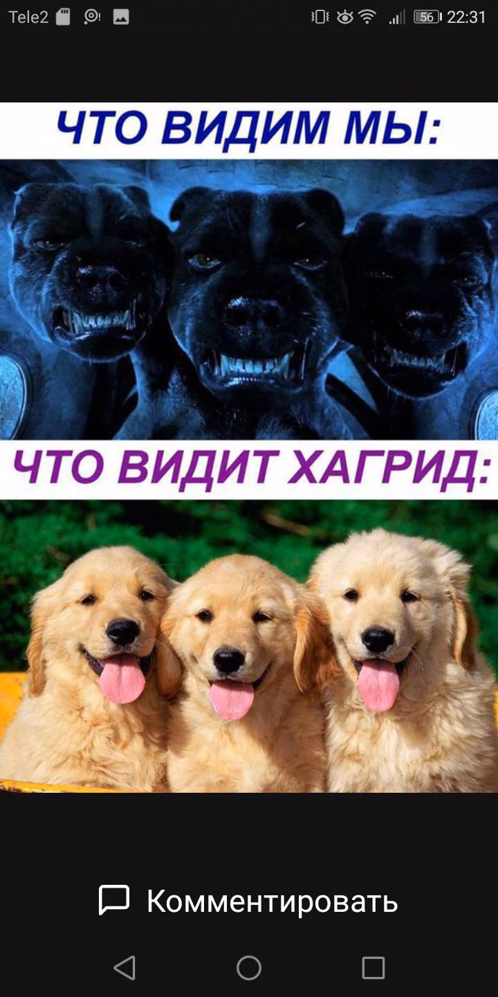 b8136208f61d9dd340a1c6aaf64d1bf6.jpg