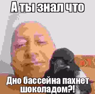 b8149ee127ecbba02a0049310ec4231f.avif