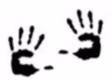 a92ec465be77828b468c1dd2cd3eb895.jpg