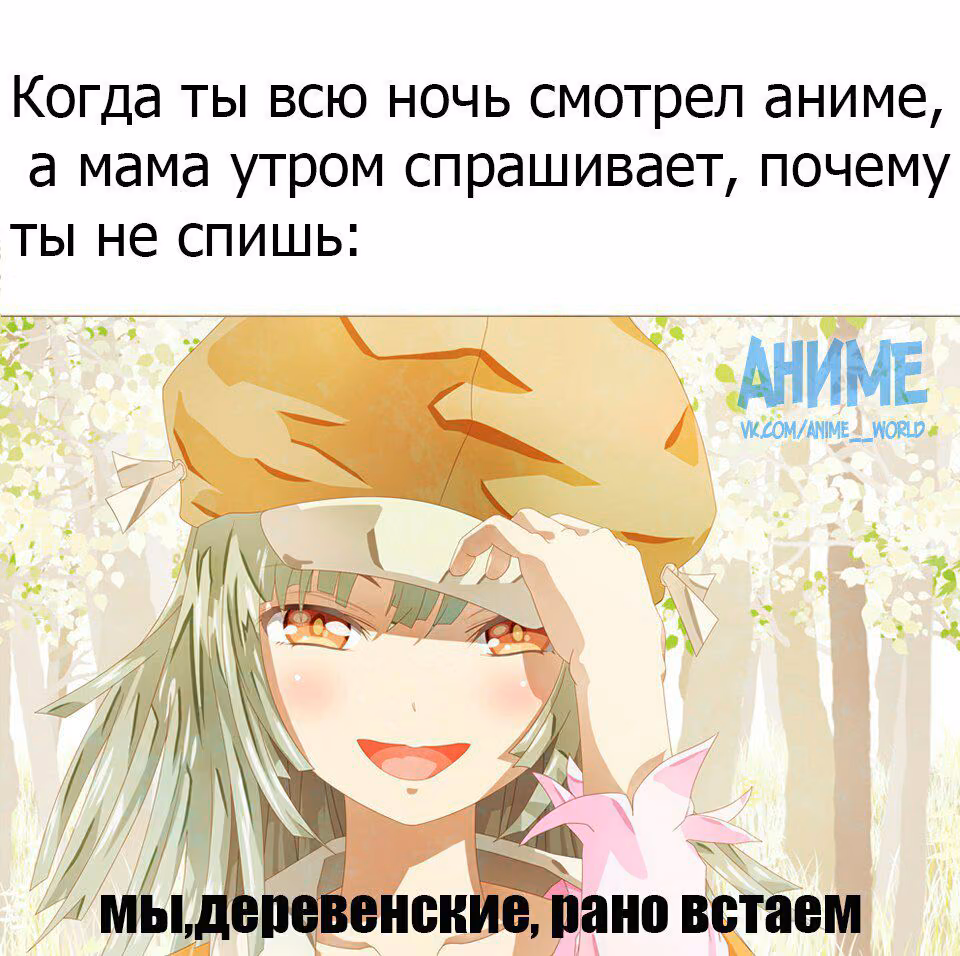 b84415130da880d123d63c5f7a715b8f.jpg