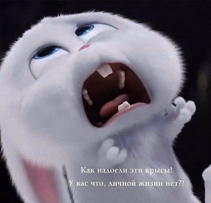 b84c654577fdad27b68c3d98ef939fc6.jpg