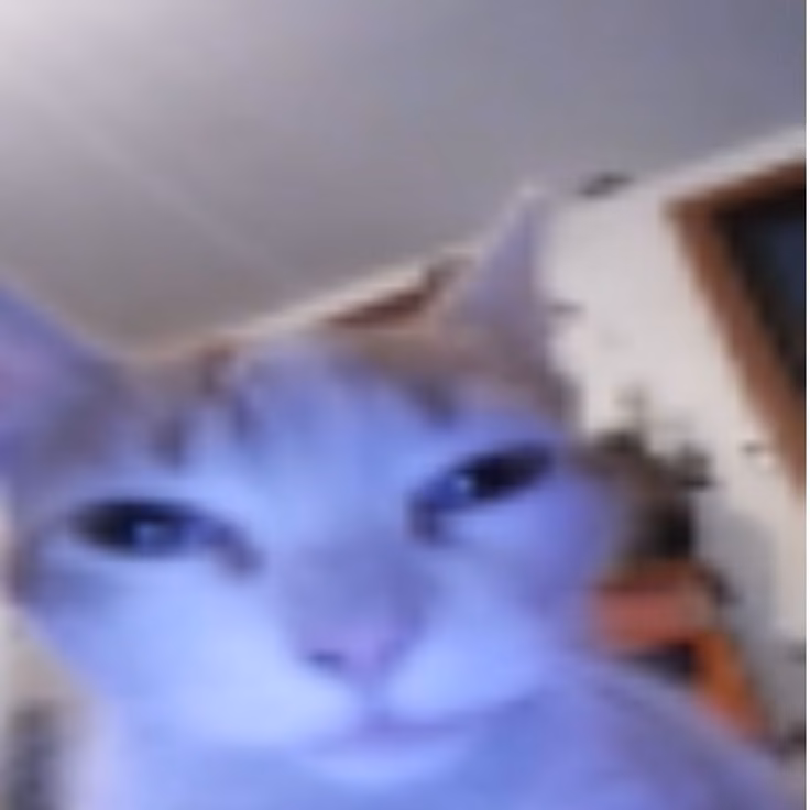b84e21e81625832860261642af3fa11a.avif