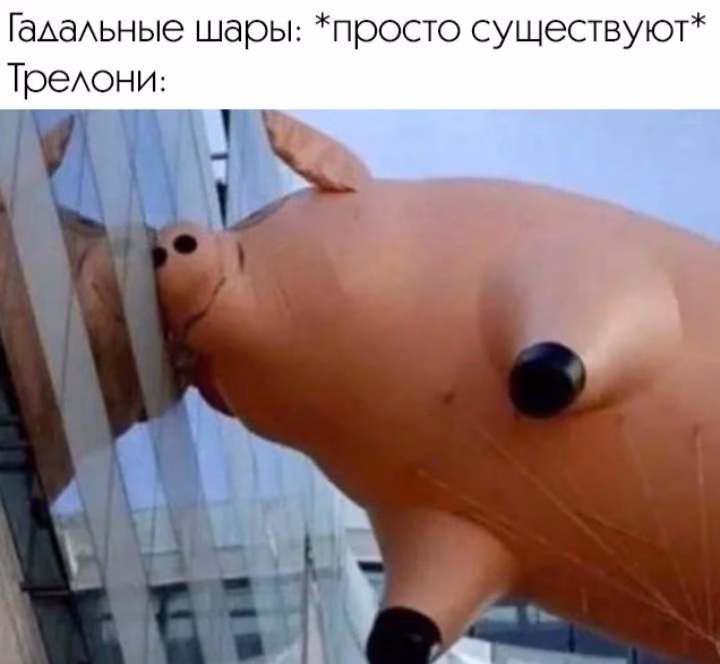 b8586cd5441fcd9f87629662a9b8adb0.avif