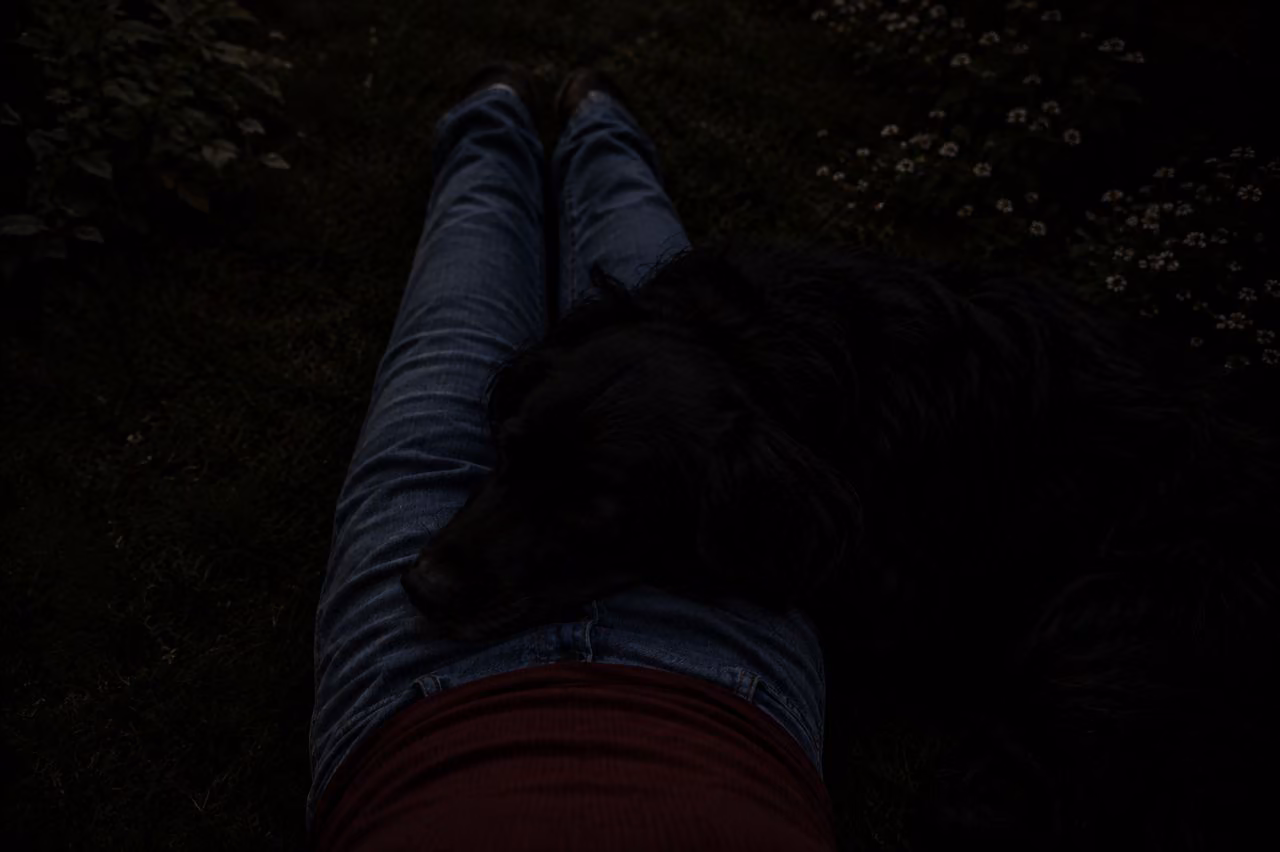b86951039976ce1fd651ef7d501d1e82.jpg