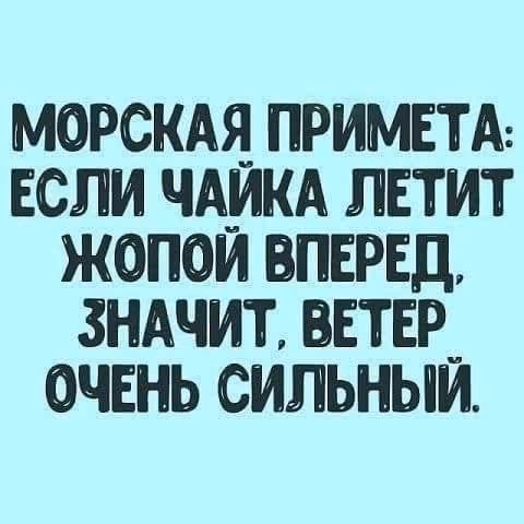 b88f94f93cd4a7e05908bb80777c8e44.avif