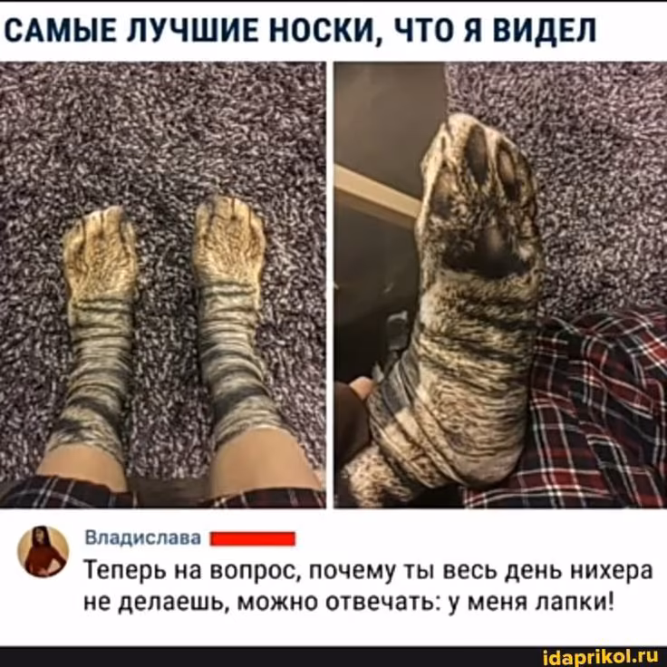 b8904aec366d06d4cebd4e8efcb812f6.avif