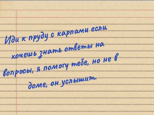 b8c94d95f56ebfe924c05dd0301816fd.jpg