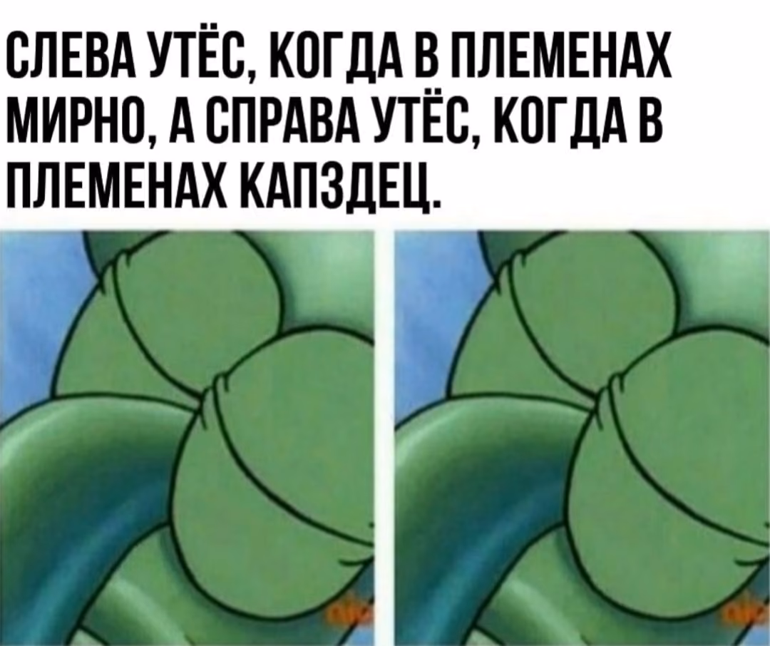 b8d71f6591ea10a04c7c88067da3fc15.avif
