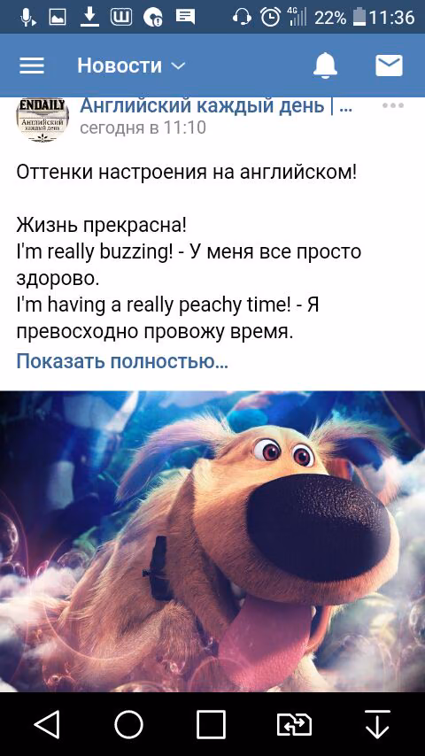 b8da579db2db6fb93aad7bdc14a09882.jpg