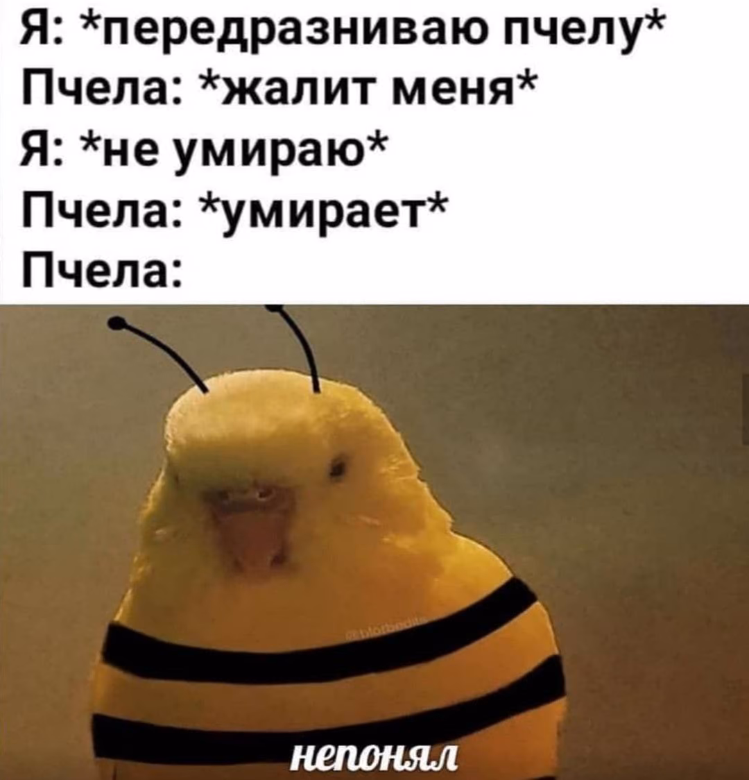b8db0cc8d37321148ca771c453c7903d.avif