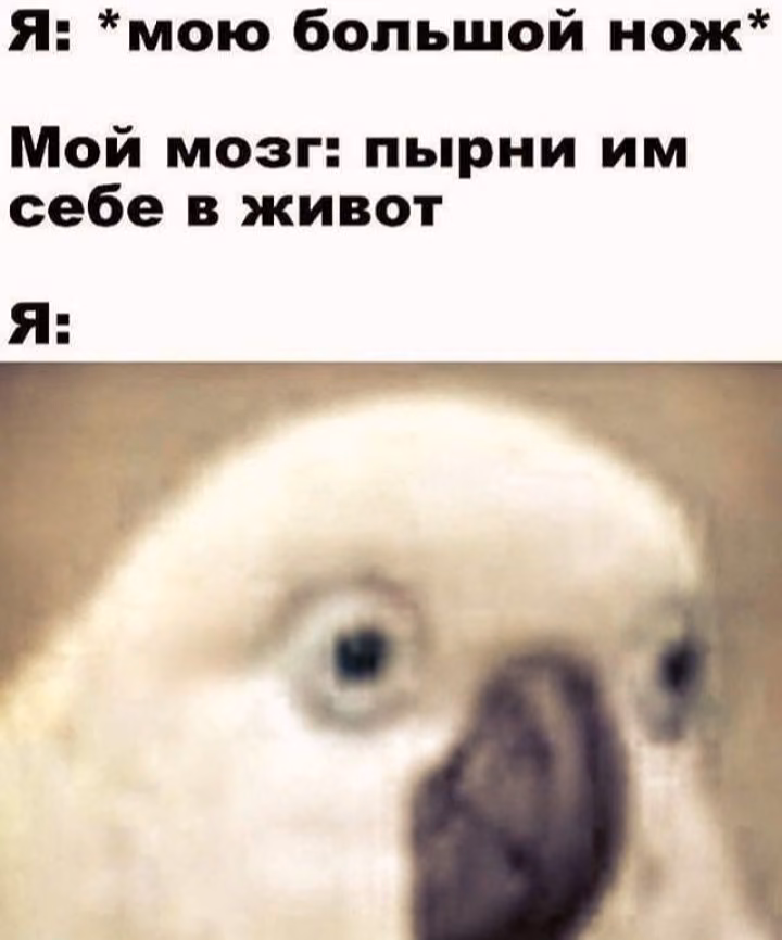 b8fdf915f15cd0f282376baf8852255b.avif