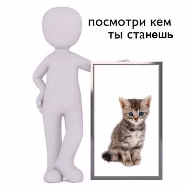 b904e88fd6b4f62b04f4a13798dcb18c.avif