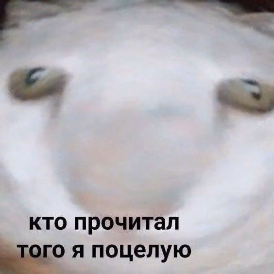b91bf8ad639dc2137cc1f5b3e0e50589.avif
