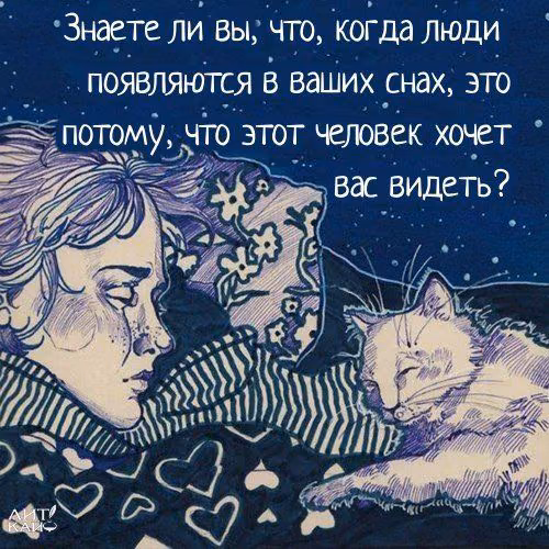 b91d95e7a2fc5f10ada4245d787882fc.jpg