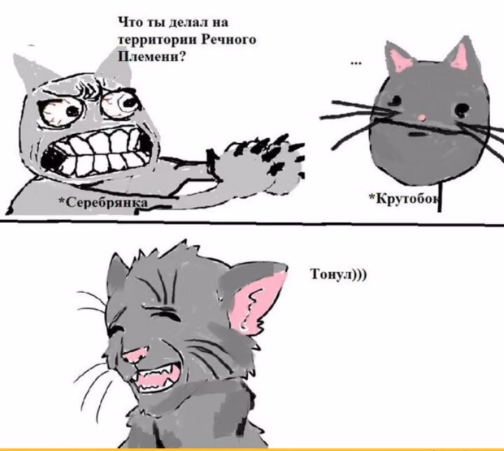 b91f2c6a6b8c308d77e6a2dbf36a9f65.jpg