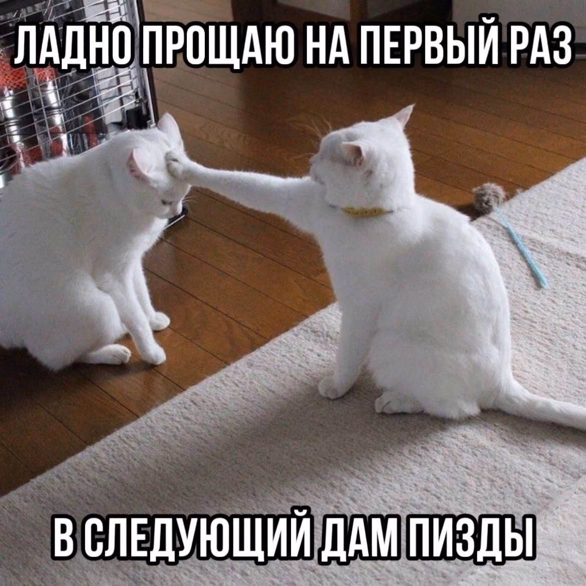 b92c0459cc45f2dc2eeb5b3a89e7df9d.avif