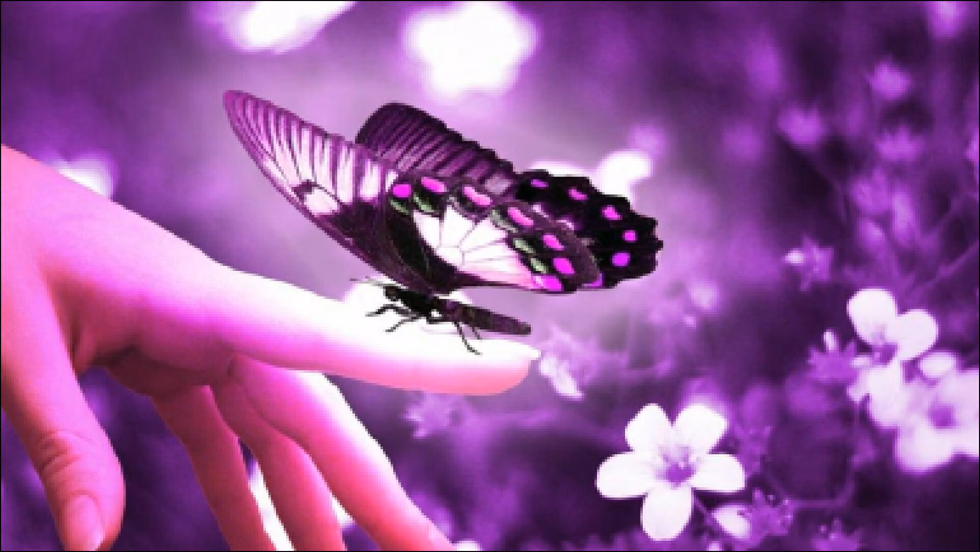 b93c6b1457d45f0d2b7e8b3cfc0826a1.jpg