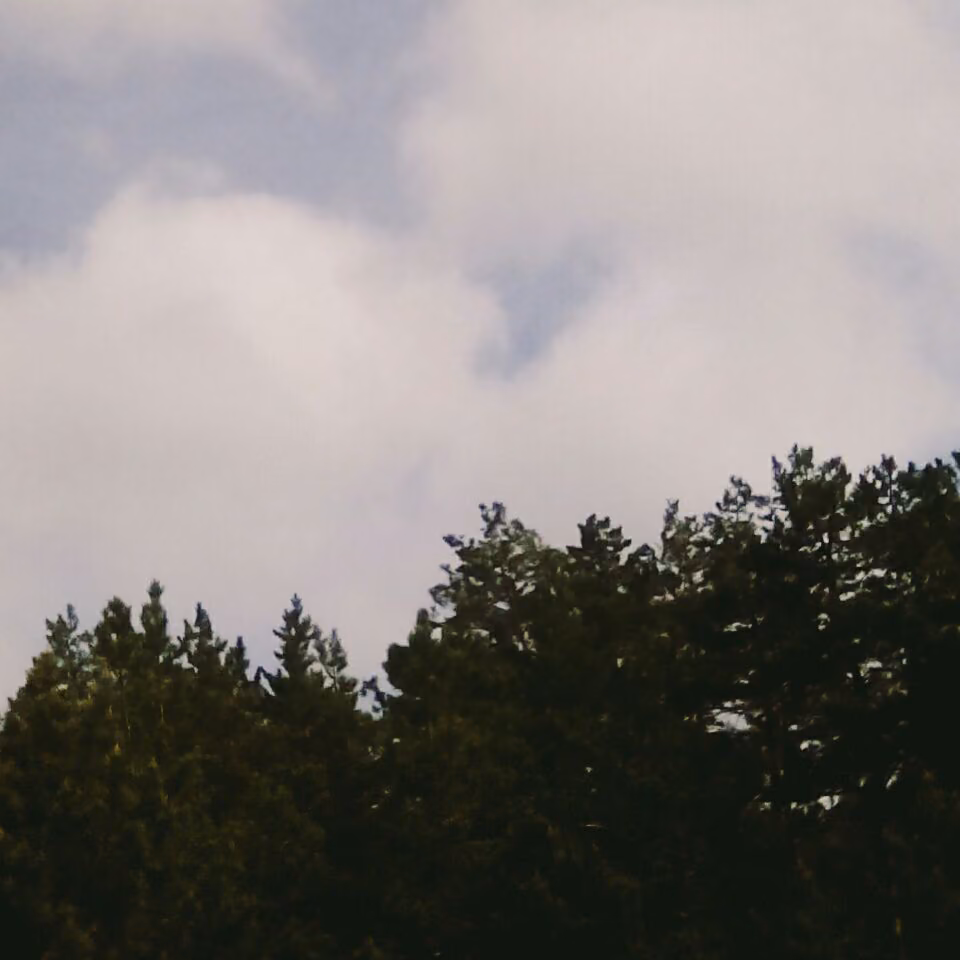 b93f3c1a123b85cc2e1b114fe3bc35df.jpg