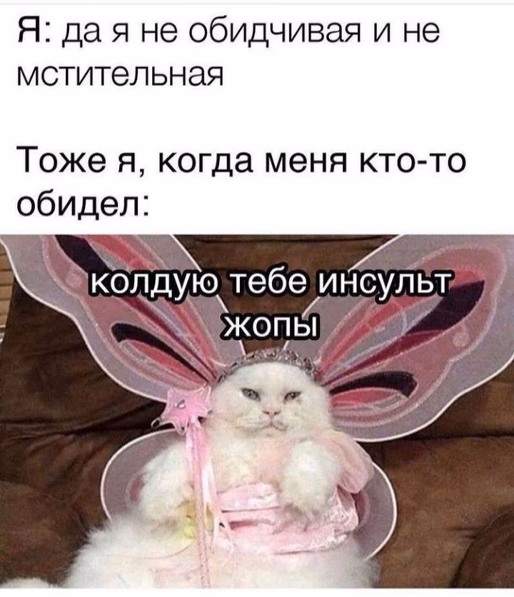 b94e5450a2f108481d487d27aa039e24.avif