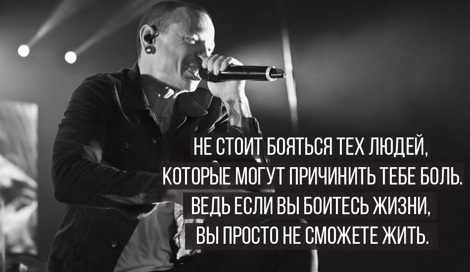 b95c241e621900b5dbe6c104703b9434.jpg