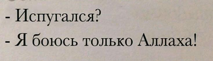 b96dd96dc10b4a8c325a0b26ac3fc0b1.jpg