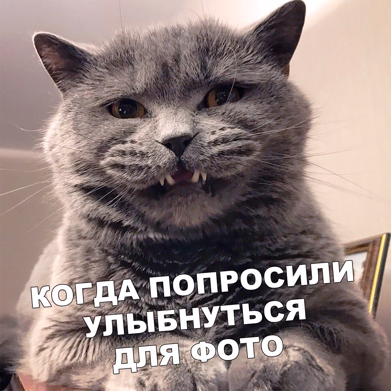b97b0254490bb714d80d2786626a9a80.jpg