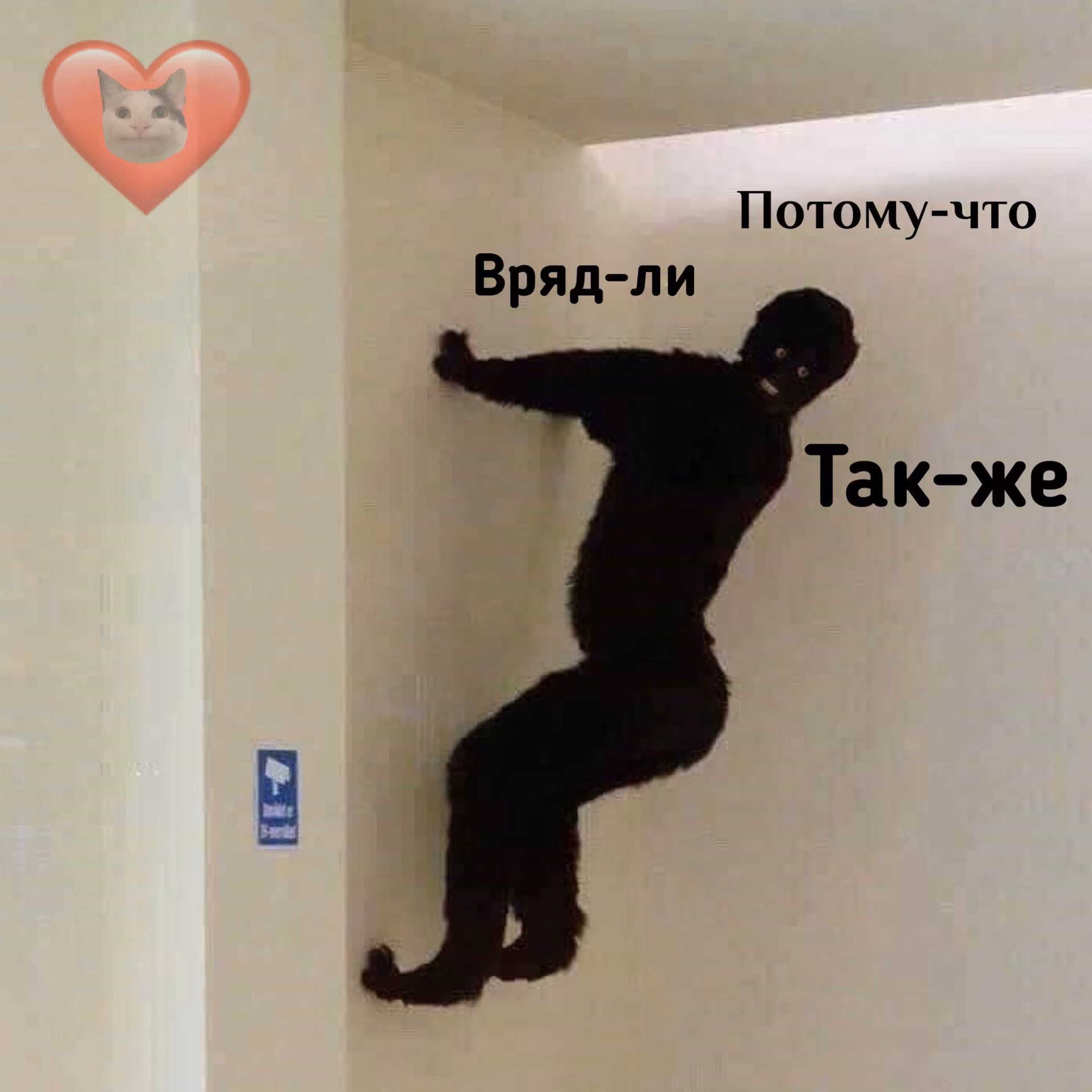 b99d4ce1c9ceb9ad91eb48f9f25443bd.avif