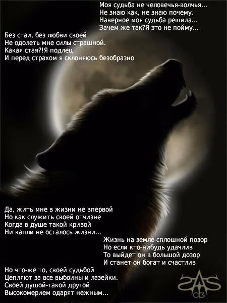 b9aeecb25fb0421676501807f7878741.avif