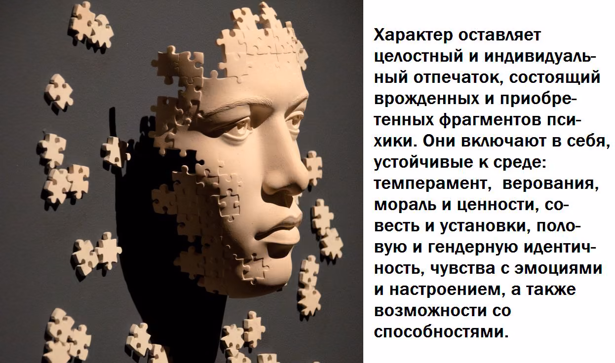b9b6aaf02fe79cec4d06b894ab9cab51.avif