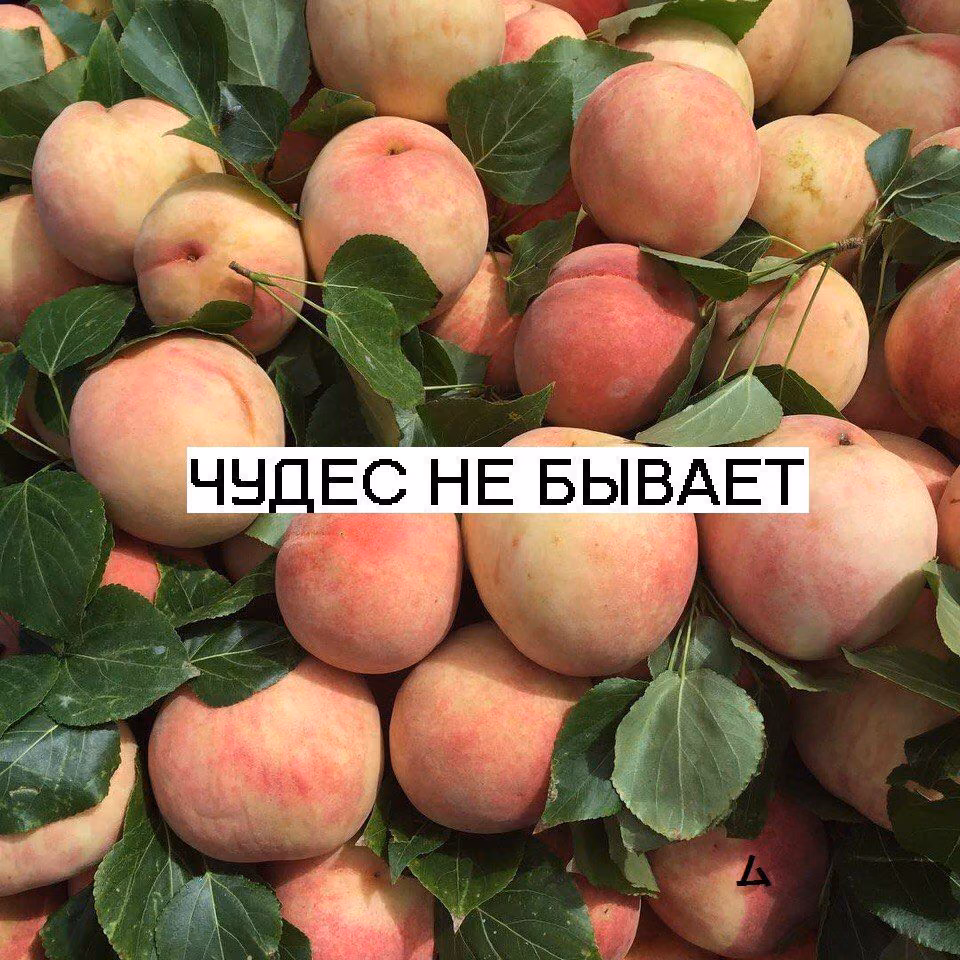 b9c8d33d45e47a8250d8aedf23d1eece.avif