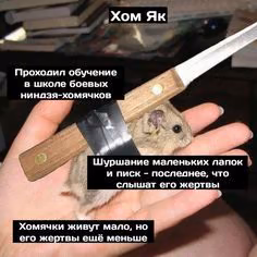b9d0c1b7d7ae2c1013a7637de5daf8c4.avif